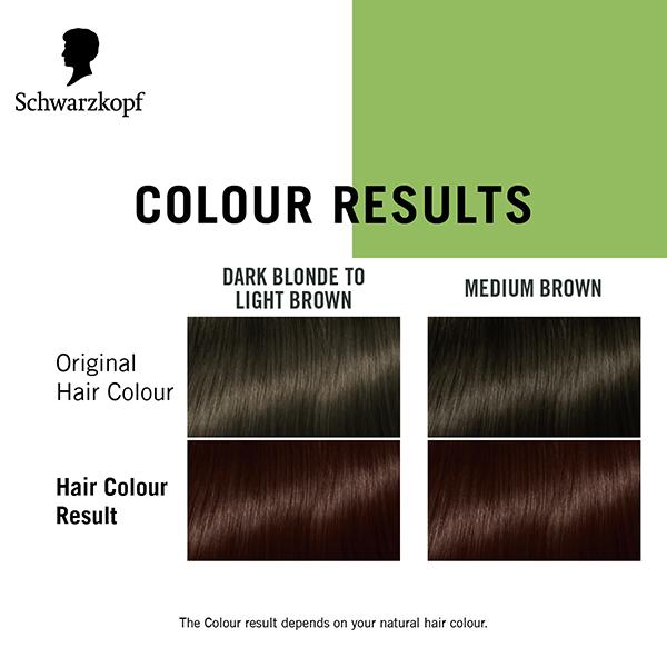 Schwarzkopf Simply Colour Permanent Hair Colour For 100% Grey Coverage - 6.68 Hazelnut Brown 142.5 ml - Crème