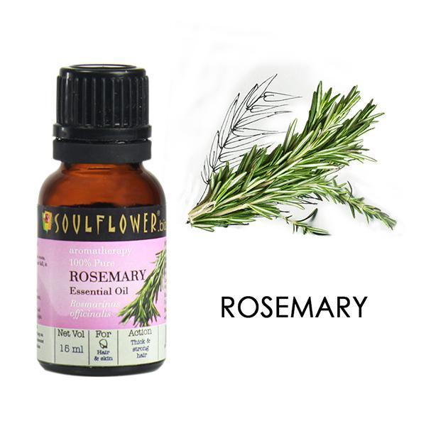Soulflower Essential Oil - Rosemary 15 ml - Essential Oils