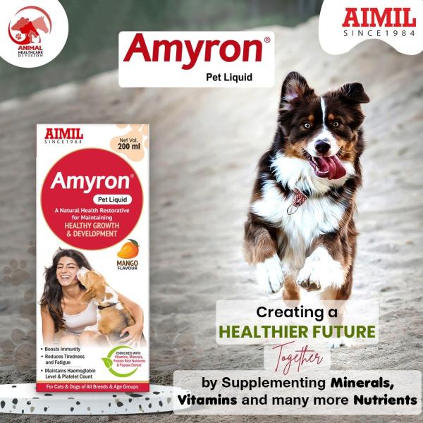 AIMIL Amyron PET Liquid 200 ml - Pet Healthcare