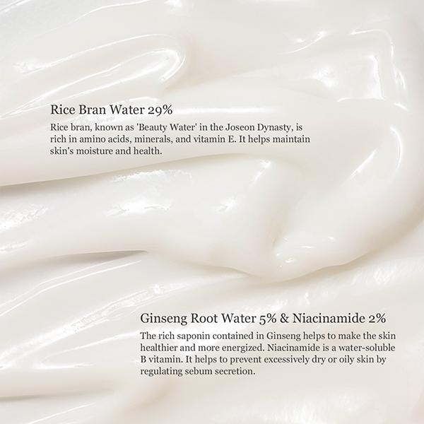 Beauty Of Joseon Dynasty Cream 50 ml - Face Moisturizers