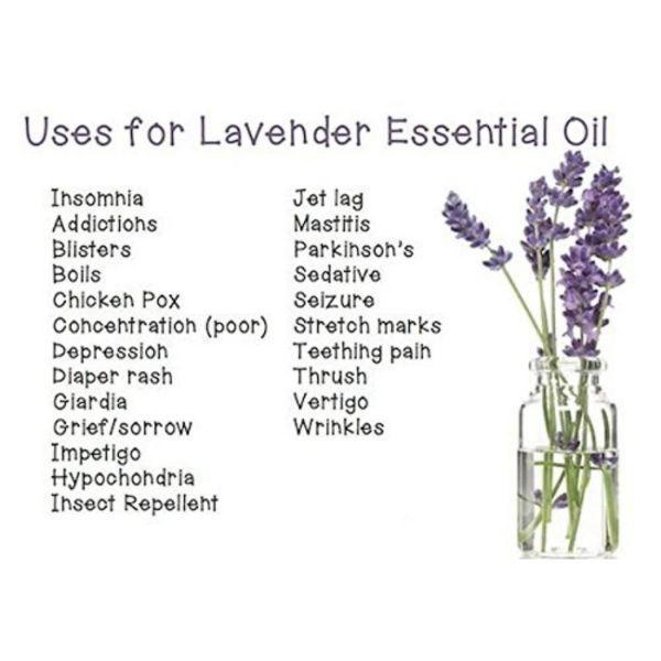 Wishcare 100% Eucalyptus Globulus Oil 15ml - Essential Oils