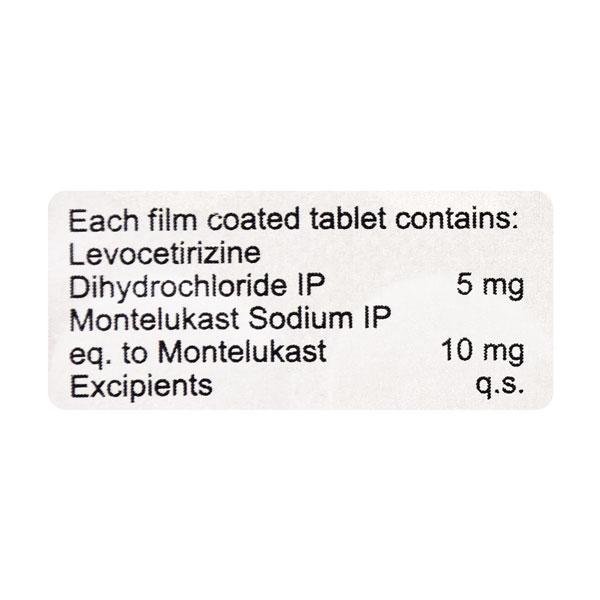 LERIZ M Tablet 10's - Allergies-Ant