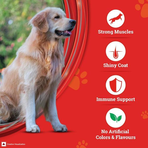 Nestle Purina Supercoat Adult With Chicken Dog Food 2.5 kg - Petfood