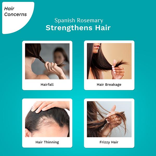 Pilgrim Spanish Rosemary Anti Hairfall Hair Mask 200 gm - Hair Masks & Packs