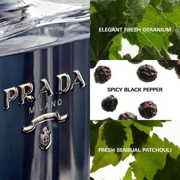 Prada L'Homme Edt Vap 100 ml - Men Perfumes (Edt/Edp)