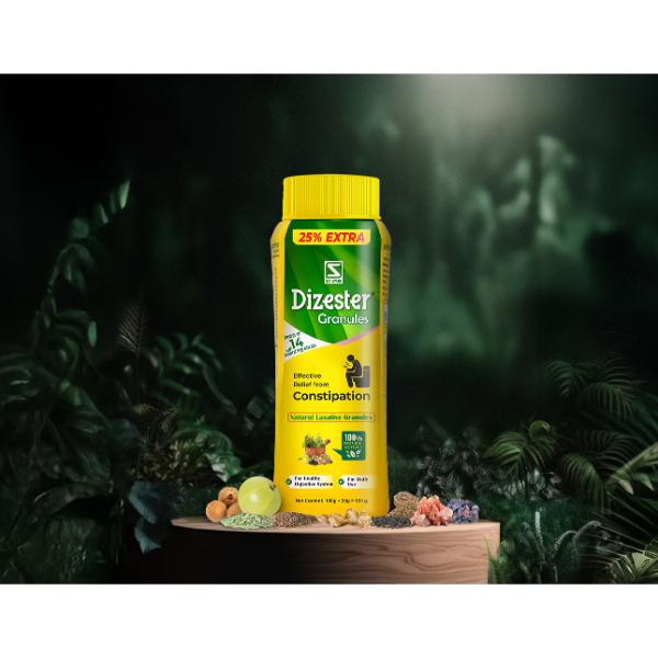 Dr. Willmar Schwabe Dizester Granules (100 g + 25 g) 125 g - Digestive Care