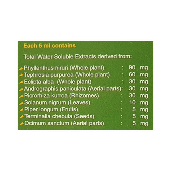 Tefroliv Forte Syrup 200ml - Liver Disease