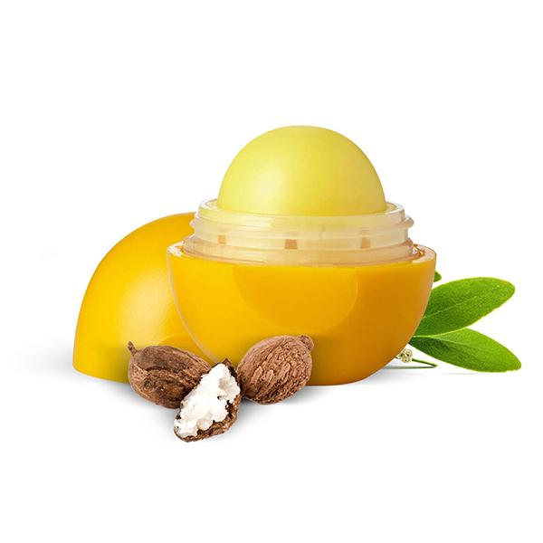 Organic Harvest Shea Butter Lip Balm 8 gm - Lip Balms