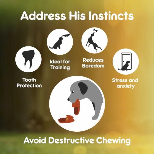 Purepet Pressed Chew Bones, Dog Treats, 6 inches - Pack of 4 Bones 360 gm - Petfood