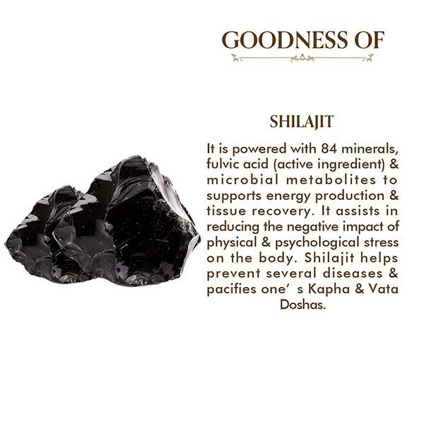 TAC The Ayurveda Co. Pure & Natural Shilajit Resin 20 gm - Sexual Healthcare