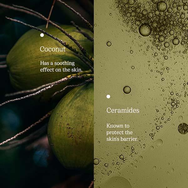 82E Body Milk SPF 20 PA++ with Coconut and Ceramides 240 ml - Lotions & Creams