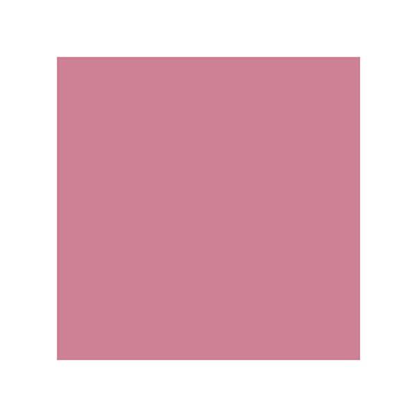 Aravi Organic Long Lasting Ultra Smooth Matte Liquid Lipstick - Insider Air 1.5 ml - Liquid Lipsticks