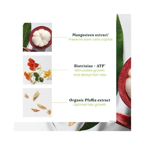 Rene Furterer Triphasic Progressive Concentrated Serum 44 ml - Hair Serums