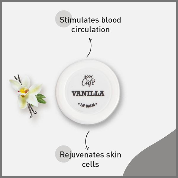 Bodycafe Vanilla Lip Balm 10 gm - Lip Balms