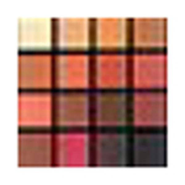 PAC Matte Eyeshadow X16 Last Wish 1 gm - Eye Shadow Palettes