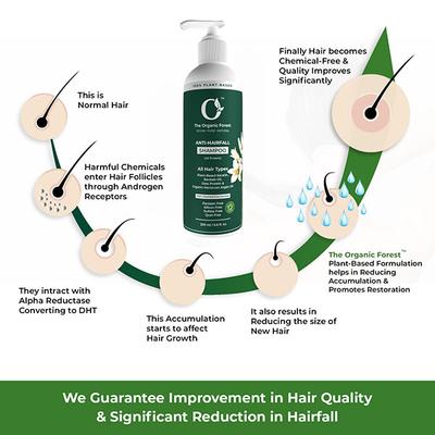 Organic Forest Hair Fall Control, Hair Thickening & Hair Growth Shampoo 200 ml - Shampoos
