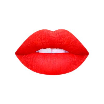 Matt Look Stay Matte Lipstick, Fusion-Pink 3.5 gm - Lipsticks