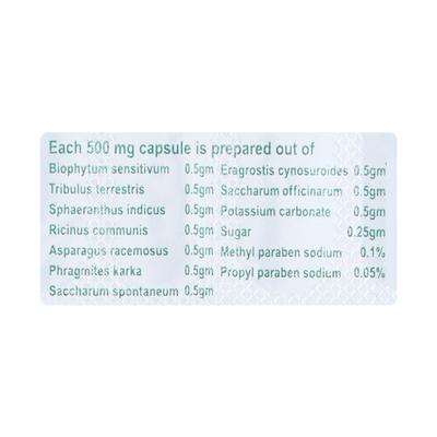 Prostowin Capsule 10'S - Kidney Disease/Stones-Uri