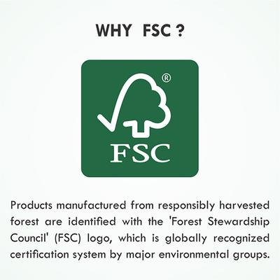 Tulips Paper Sticks Eco-Friendly Cotton Swabs 100's - Cotton Buds & Balls