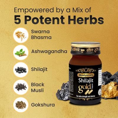 Baidyanath Shilajit Gold Capsule 20's - Speciality Medicines