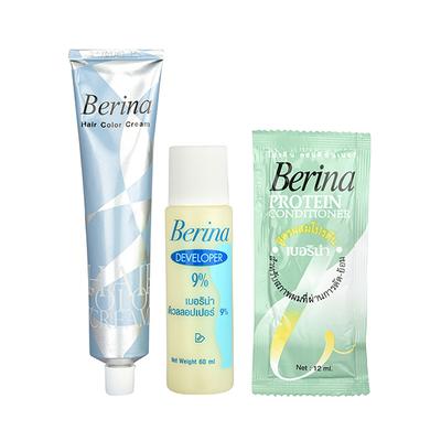 Berina A31 Blonde Gray Green Hair Color Cream 60 gm - Crème