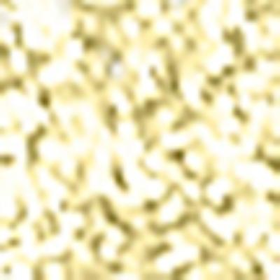 PAC Duo Chrome Eye Pencil (Champagne) 0.2 g - Eyeliners