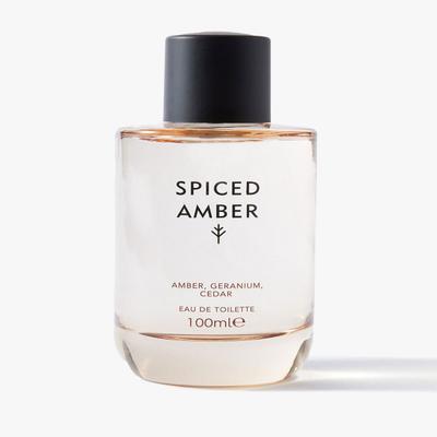 Marks & Spencer Spiced Amber Eau De Toilette 100 ml - Body Mist/Spray