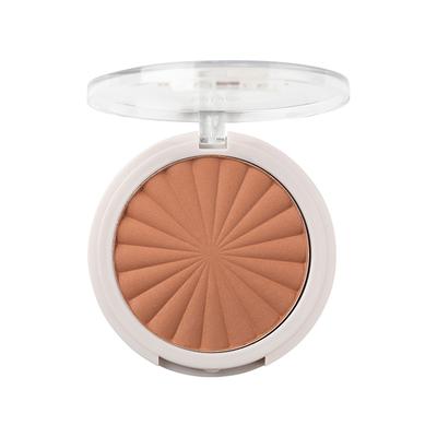 Mua Bronzed Matte Bronzing Powder 110 8 gm - Bronzers
