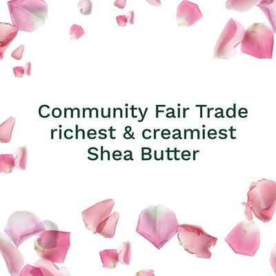 The Body Shop Body Bitish Rose Normal Skin Beurre Corps 200ml - Body Butter