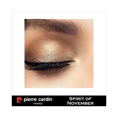 Pierre Cardin ParisIconic Palette Eyeshadow Spirit Of November 10 gm - Eye Shadow Palettes