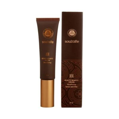 Soul Tree BB Cream Mattifying B39 Golden Glow All Skin Type 30gm - Bb & Cc Creams