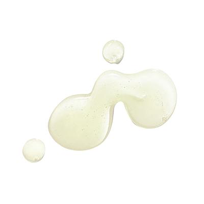 PAC Studio Finish Oil Primer 20 ml - Primer