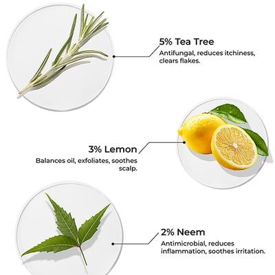 Brillare Tea Tree Oil For Itchy, Flaky, Dandruff Prone Scalp 100 ml - Hair Oils