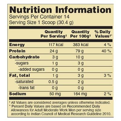 Optimum Nutrition (ON) 100% Whey Gold Standard Powder - Double Rich Chocolate 1 lb - Whey Proteins