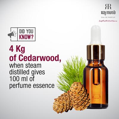 Raymond Moroccan Cedar Edp 45 ml - Men Perfumes (Edt/Edp)