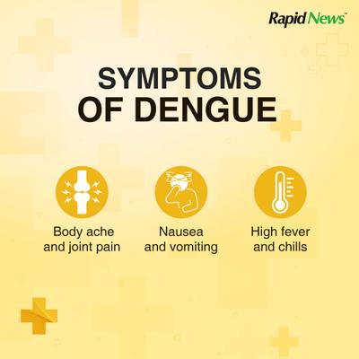 Rapid News Dengue Antigen Instant Blood Test Kit 1's - Test Strips & Lancets