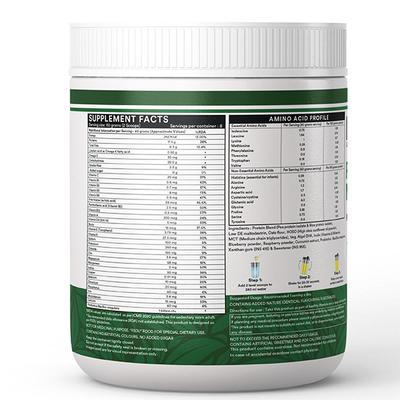 INLIFE Plant Based Meal Shake Powder - Mango 500 g - Weight Loss