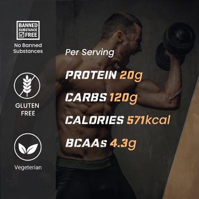 Onelife Mass Gainer Powder - Chocolate (Pouch) 1 kg - Workout Essentials