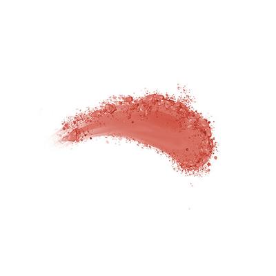 Deborah Milano Natural Blush - 17 Terracotta 6 gm - Blushes