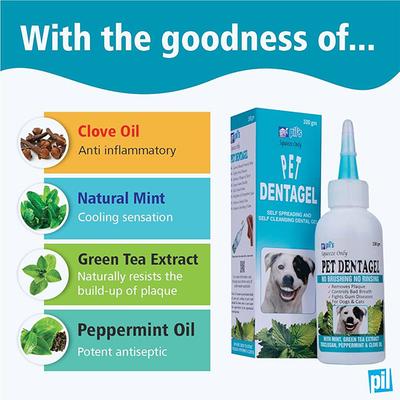 PET DENTAGEL (VET) Dental Gel 100g - Pet Healthcare