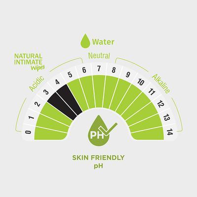 Pee Safe Natural Intimate Wipes for Women Tea Tree & Lactic Acid ( Pack of 10) 1's - Intimate Care