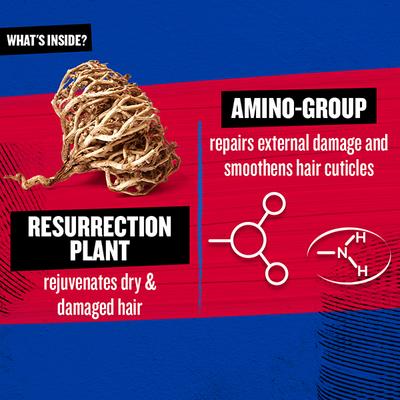 TIGI Bed Head Resurrection Super Repair Shampoo for Weak and Brittle Hair 400 ml - Shampoos