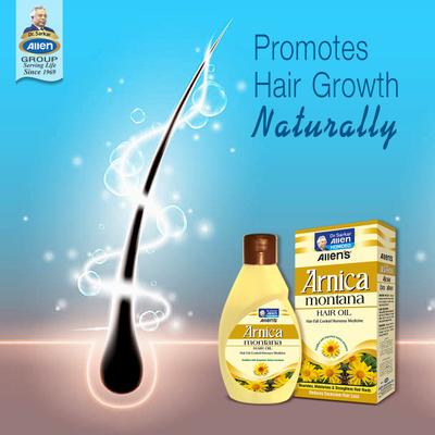 Allen Arnica Montana Hair Oil 100 ml - Personal Care(Homeopathy)