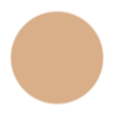 PAC Take Cover Concealer Buildable Coverage Creamy Blends Seamlessly - 12 Spiced Sand 6.8 g - Concealer