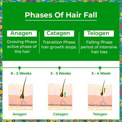 Passion Indulge Rosemary Hair Growth Serum with Redensyl, Water Based Hair Serum for Hair Growth 50 ml - Hair Serums