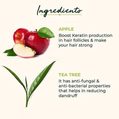 Organic Harvest Anti Dandruff Conditioner (ACV) 500 ml - Conditioners