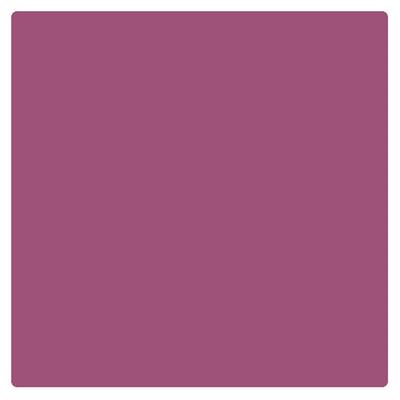 Bonjour Paris Just Matte Lip Crayon - Mauve 3.2 gm - Lip Crayons