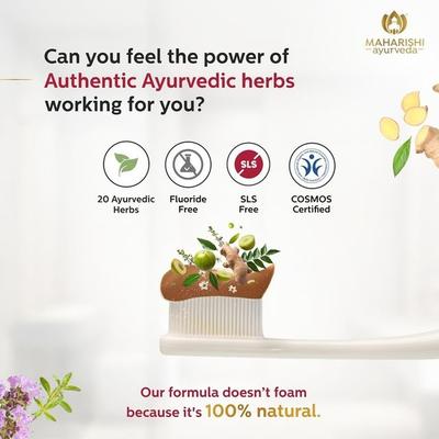 Maharishi Ayurveda Ayurdent Classic Ayurvedic Herbal Toothpaste 75 ml - Personal Care (Ayush)