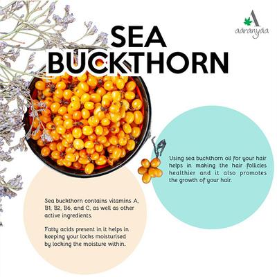 Aaranyaa Sulphate Free Shampoo Seabuckthorn 250 ml - Shampoos