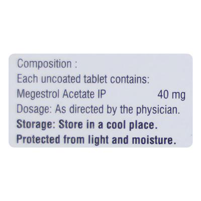 Megahenz 40mg Tablet 10'S - Cancer Oncology-Hor